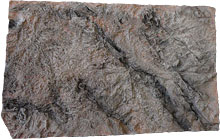 Vulkán